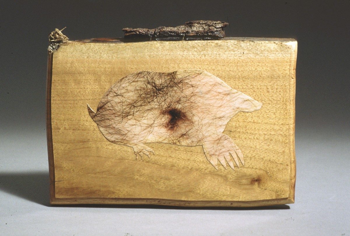 “All Natural series” from <i>SJPJ Sculptures</i>, 1994 – 
										 – All Natural series: Mole Hair										
									