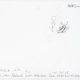 <i>Conscious Currents: Observing Life Below</i> &ndash; Elysia Timida, Nudibranch, drawing, Crete										, 2026										&nbsp;<a href='https://paullitherland.com/artsite_wp/wp-content/uploads/2024-10-18CreteDive69B.jpg' target='_blank'><img src='https://paullitherland.com/artsite_wp/wp-content/themes/artpress-child/img/artworkDownloadImg.png' title='télécharger image / download image' /></a>&nbsp;		
																				