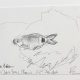 <i>Underwater drawings 2024</i> – Sea Bream										, 2025										 <a href='https://paullitherland.com/artsite_wp/wp-content/uploads/IMG_4973.jpg' target='_blank'><img src='https://paullitherland.com/artsite_wp/wp-content/themes/artpress-child/img/artworkDownloadImg.png' title='télécharger image / download image' /></a> 		
																				<a href='https://paullitherland.com/underwater-drawings-2024/' target='_blank'> 
											<img src='https://paullitherland.com/artsite_wp/wp-content/themes/artpress-child/img/artworkPermalinkIcon.png' title='go to work page' />
										</a>										