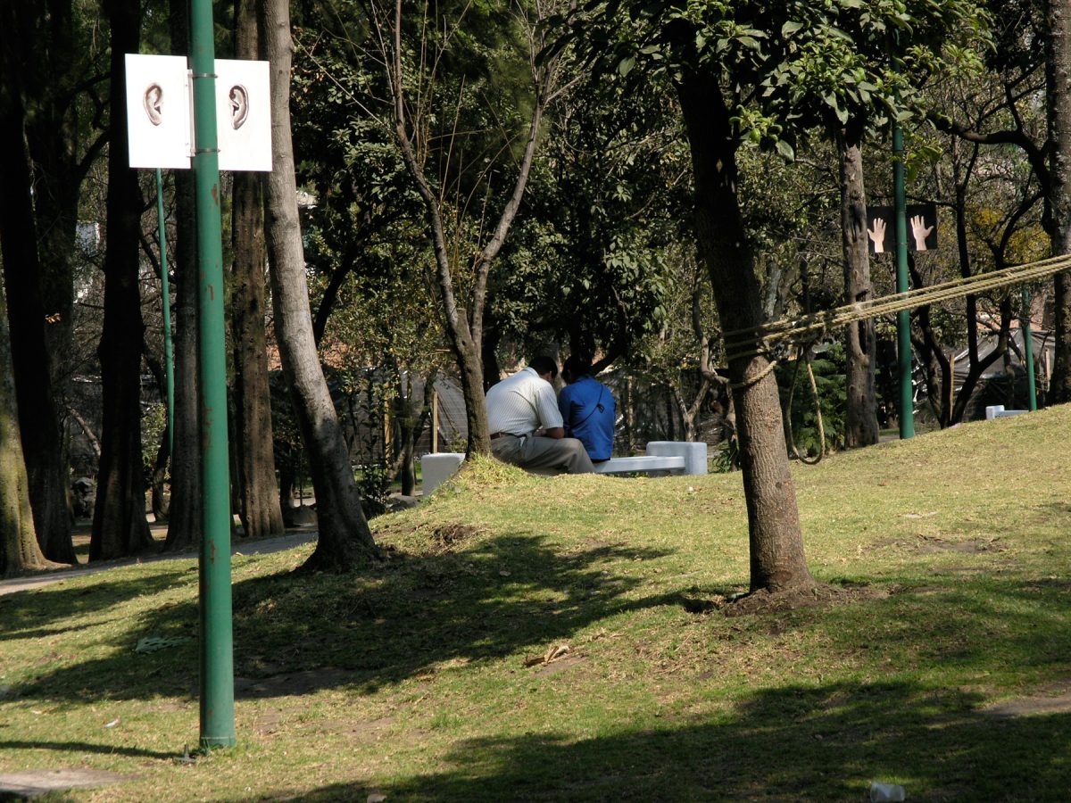 “Hands Ears” from <i></i>, 2006 – 
										 – Installation view at Parque de Tlalpan, Mexico City										
									